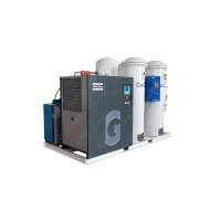 Onsite PSA   N2 gas generator  CANGAS PSA nitrogen generator